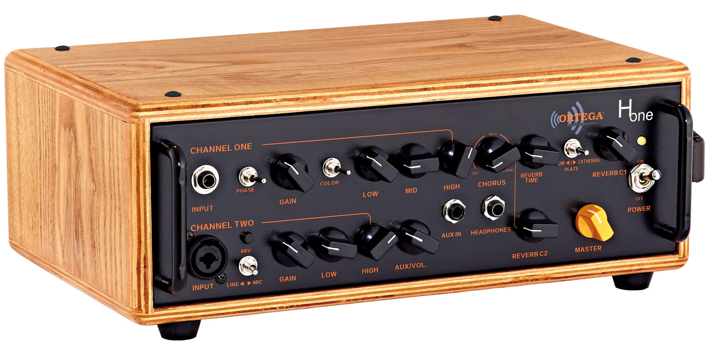 ortega tête ampli acoustique HONE